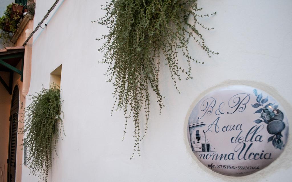 B&B A Casa Della Nonna Uccia Nardò Zewnętrze zdjęcie